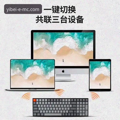易倍体育合规吗 易倍体育合规性深度分析:用户反馈、平台机制与创新探索的全面解析